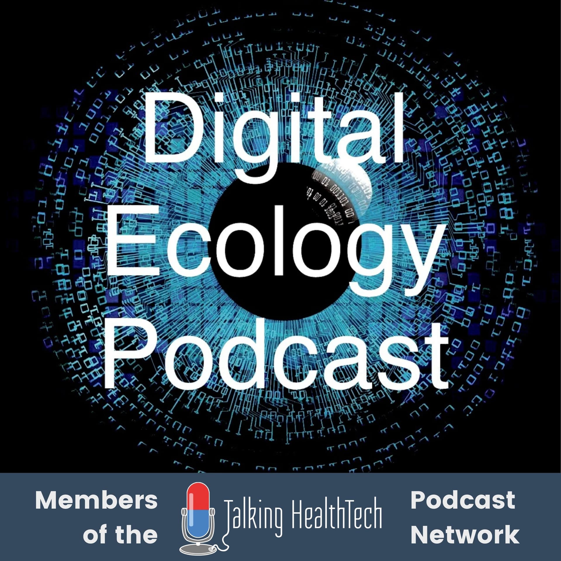 How to fail better with simulation: James Woollard, Wendy Chapman & Kit Huckvale - Digital Ecology Takes Over Talking HealthTech!