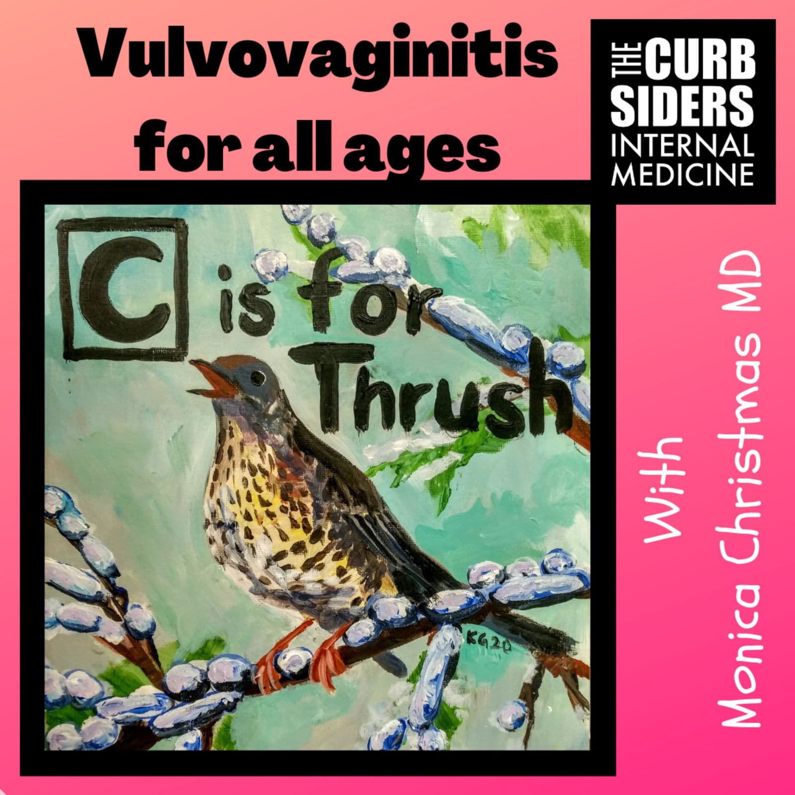 #244 Vulvovaginitis for All Ages with Dr. Monica Christmas
