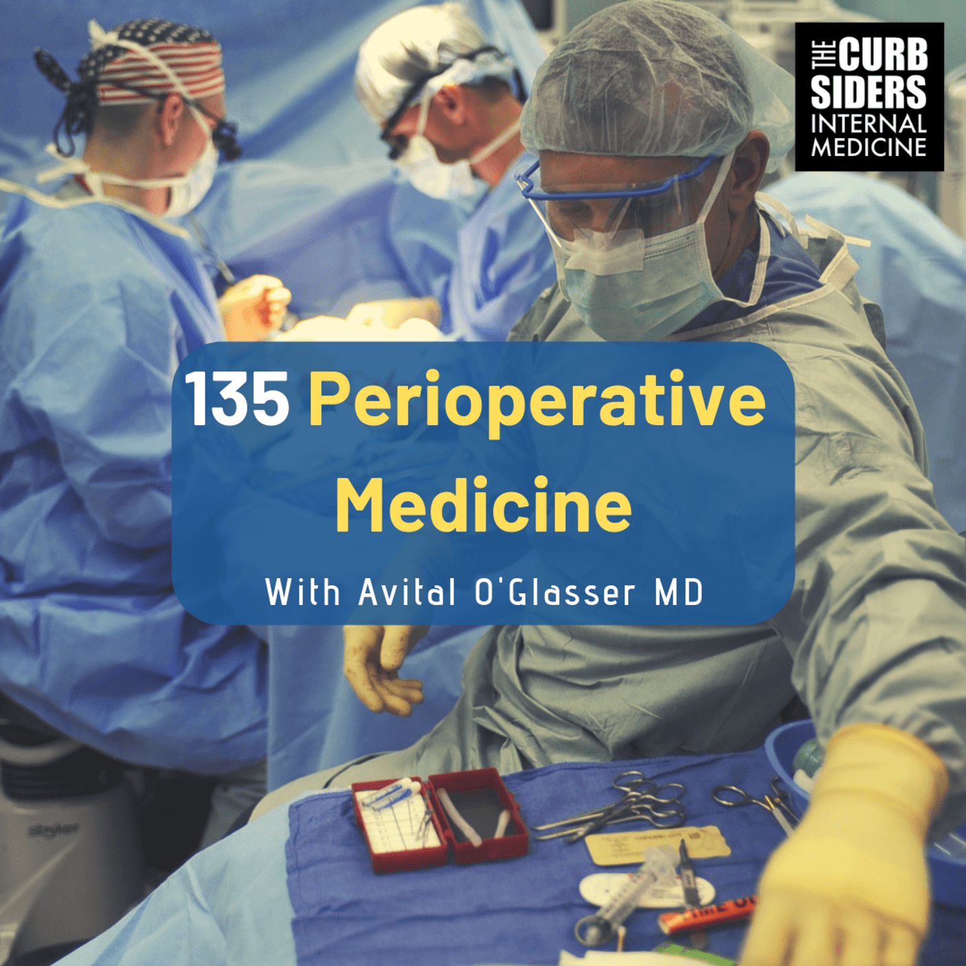 #135 Perioperative Medicine with Dr Avital O'Glasser