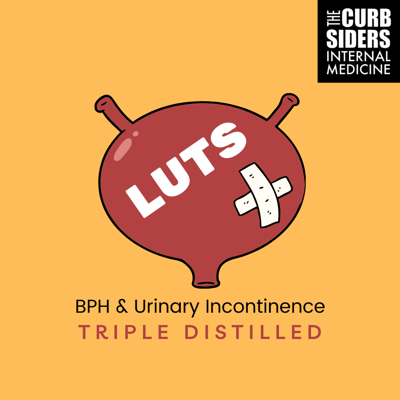 #318 LUTS, BPH, and Urinary Incontinence Triple Distilled