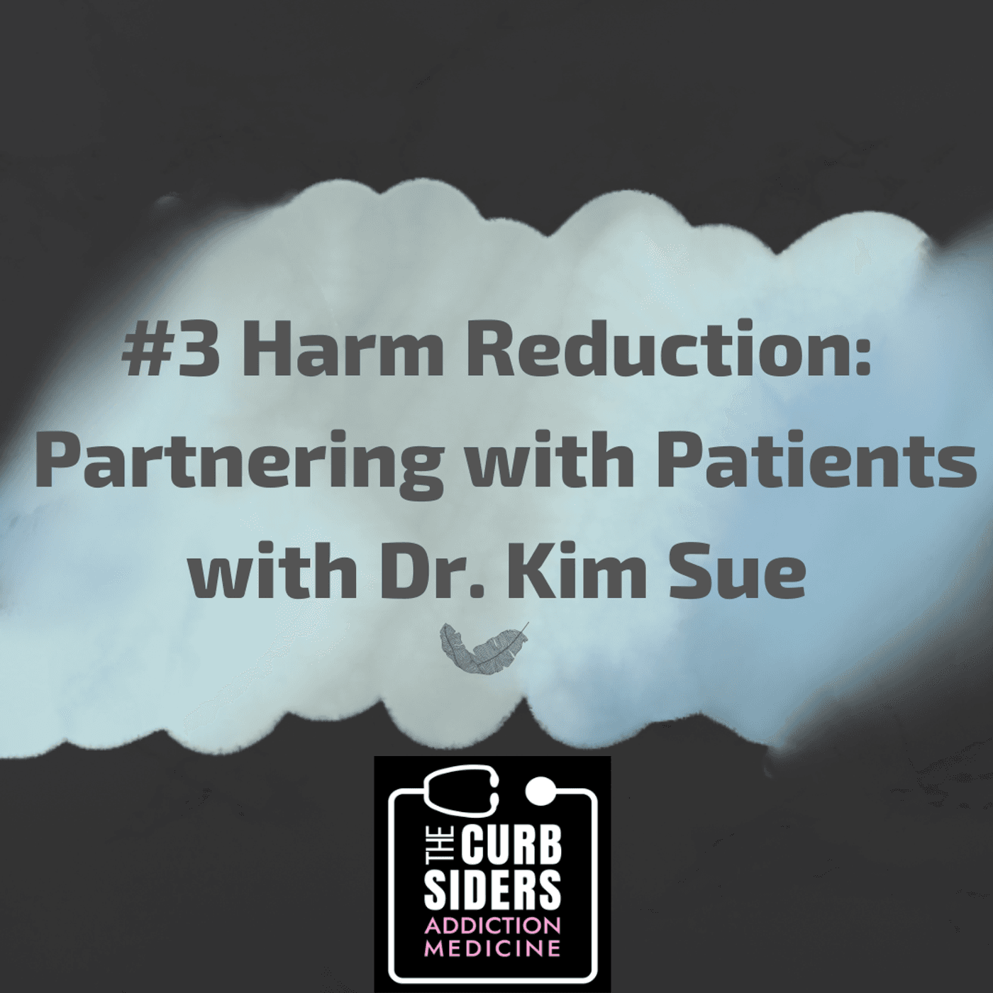 S1 Ep3: #3 Harm Reduction: Partnering with Patients w/Dr. Kim Sue
