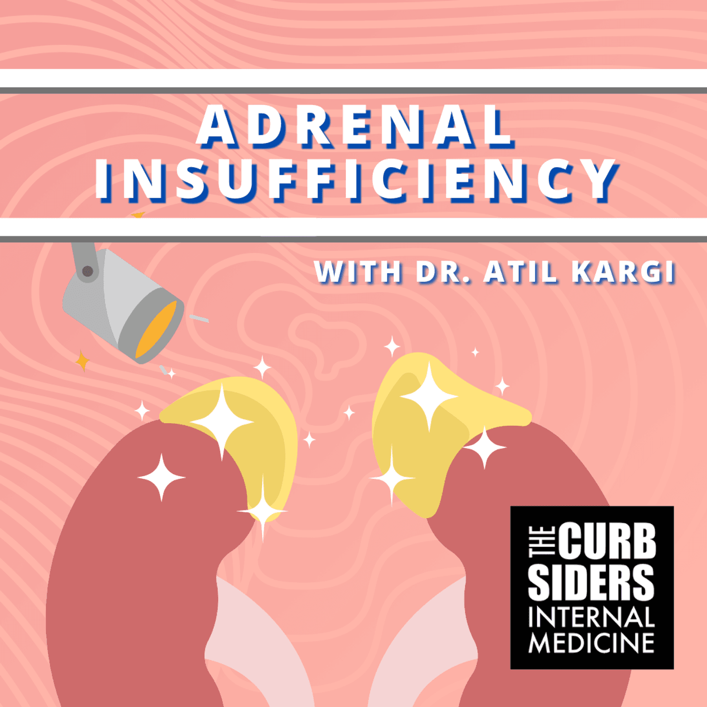 #411 Adrenal Insufficiency with Dr. Atil Kargi