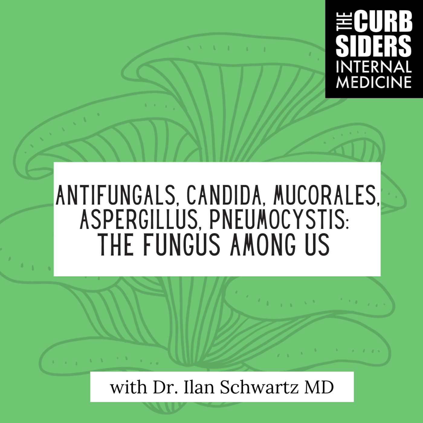 #416: Antifungals, Candida, Mucorales, Aspergillus, Pneumocystis: The Fungus Among Us with Dr. Ilan Schwartz MD