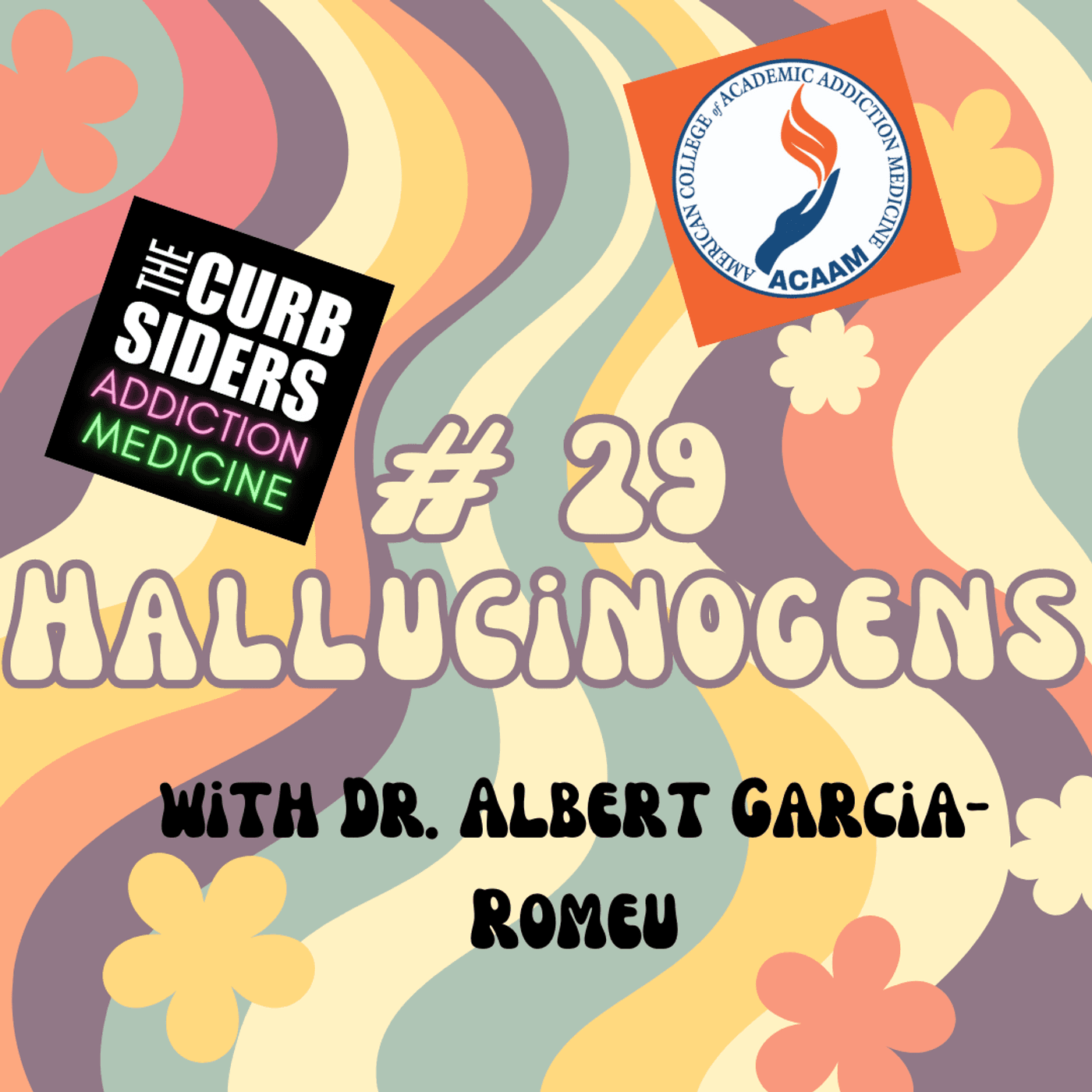 S2 Ep18: #29 Hallucinogens with Dr. Al Garcia-Romeu