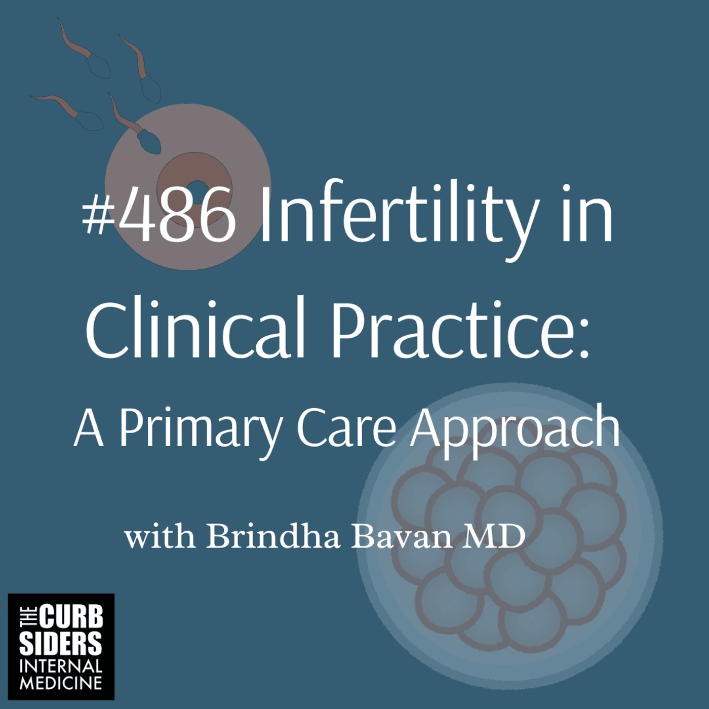 #486 Infertility in Clinical Practice: A Primary Care Approach  With Dr Brindha Bavan