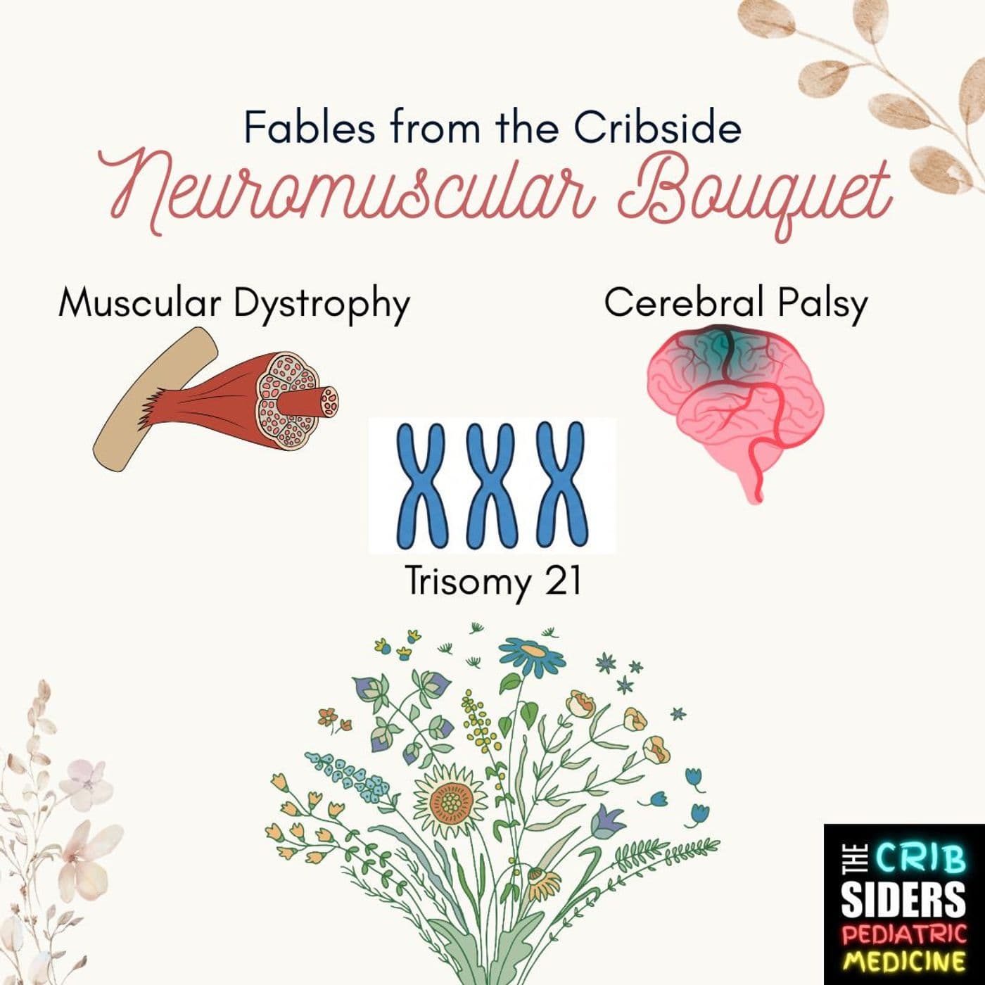S7 Ep173: Neuromuscular Bouquet (FFTC)