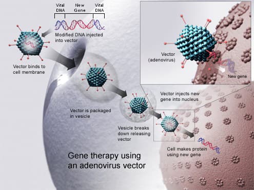 #7 Gene Therapy