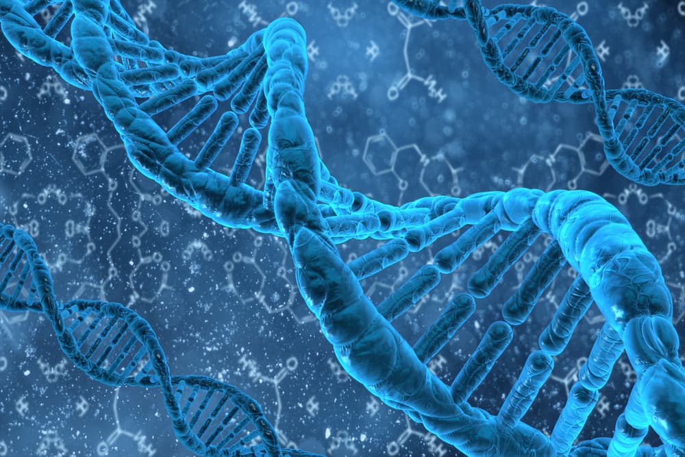 #46 DNA Day!