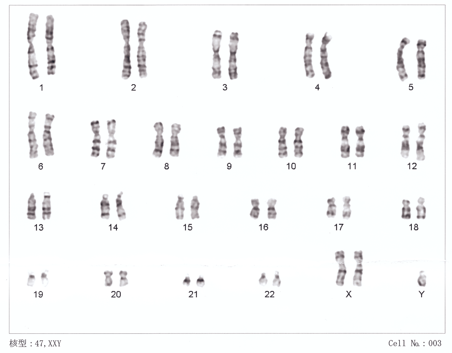 #15 Mindful DNA