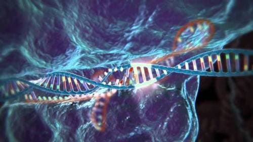 #44 CRISPR