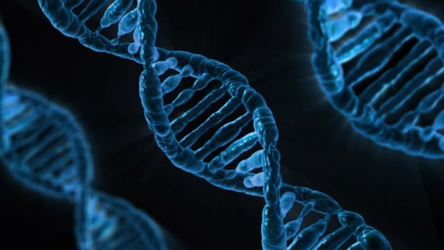 #17 PTSD and Breast Cancer Genes