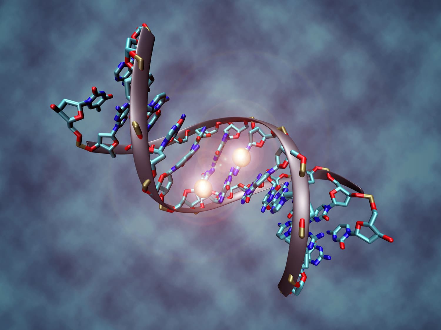 #14 Epigenetics