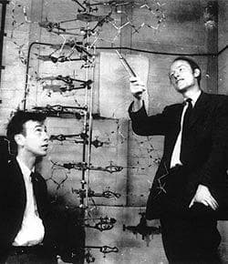 #3 Can Genetic Manipulations Slow The Aging Process? 9/15/14