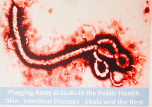 #26 Infectious Diseases Presentation