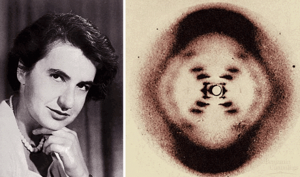 #2 Don’t Forget Rosalind Franklin 9/8/14