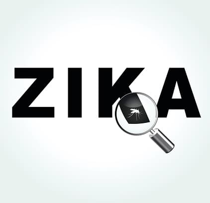 Quelling Zika Fears With Evidence