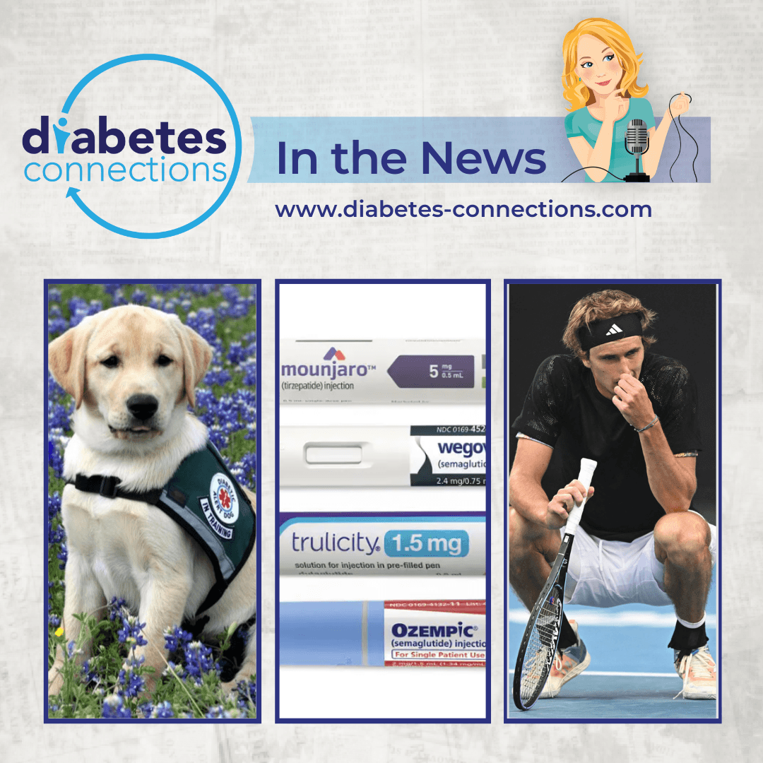 In the News... Ozempic compound warning, T1D Go Fund Me study, Tandem timeline update.. and more!