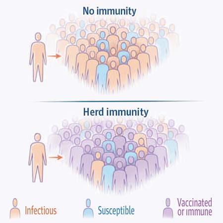 Can We Count on Herd Immunity to Control COVID-19?
