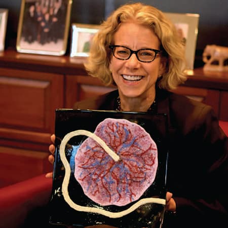 Unraveling the Mysteries of the Human Placenta
