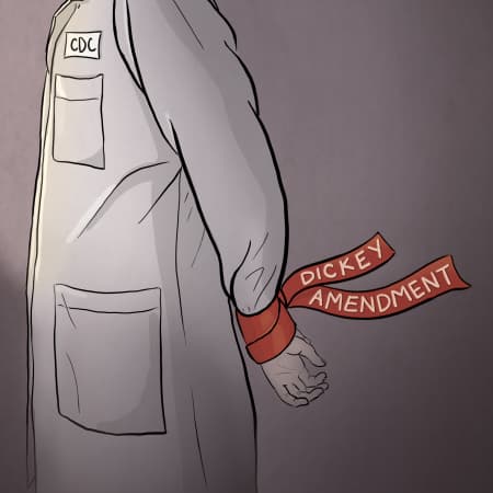 A New Path for Gun Research Funding