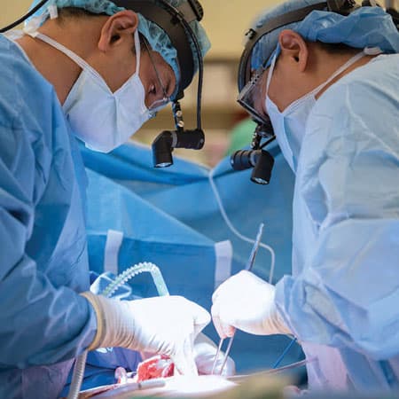 Lung Transplants for COVID-19—The Option of Last Resort
