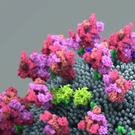 Understanding SARS-CoV-2 Genetic Variants