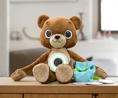 Jerry the Bear / Project Blue November