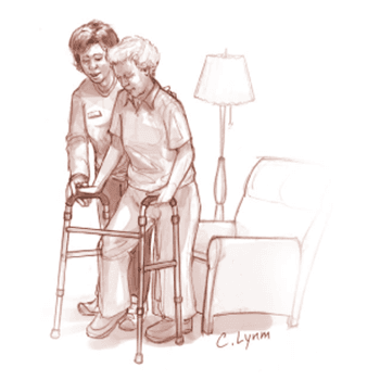 Sarcopenia, Frailty and Risk Prediction in Geriatric Patients