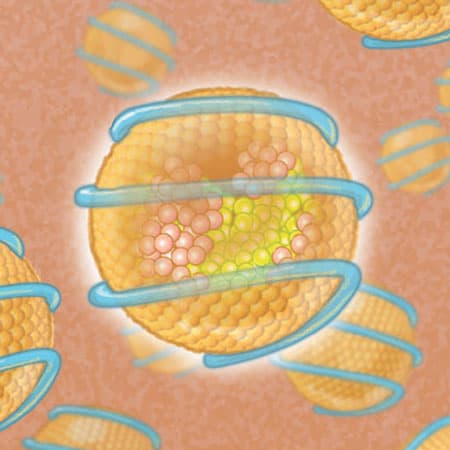 Novel Lipid-Lowering Therapies to Reduce Cardiovascular Risk
