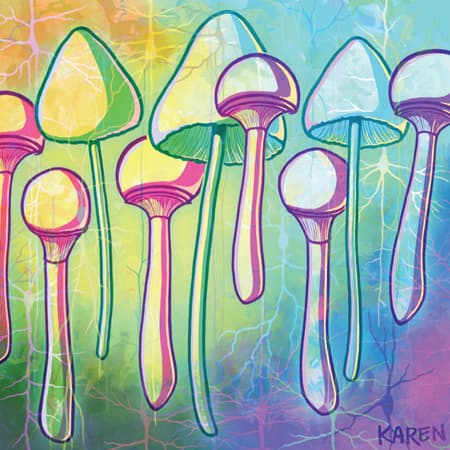 Philanthropists Fund Johns Hopkins Center for Study of Psychedelics