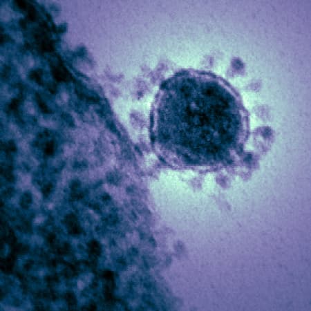 2019 Novel Coronavirus: An Update From NIAID Director Anthony Fauci, MD
