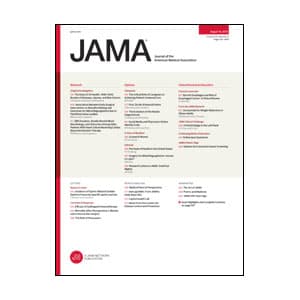 Violence/Human Rights Theme Issue