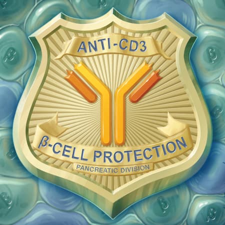 Type 1 Diabetes Advances Pave the Way for Prevention
