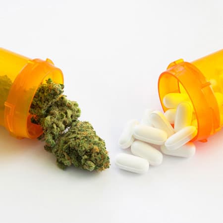 Medical Cannabis Laws and Opioid Prescribing in the Medicare Part D Population
