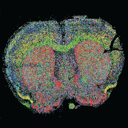 The Human Cell Atlas