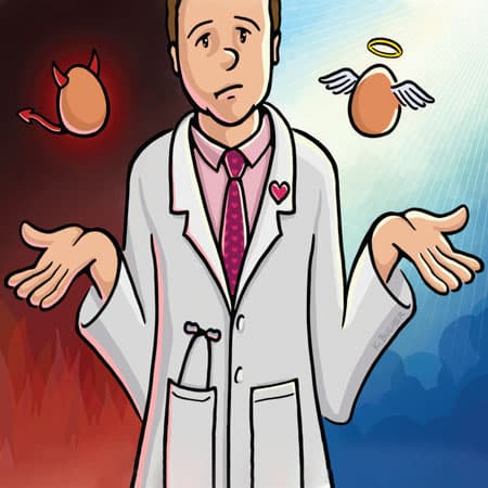 Study Puts Eggs and Dietary Cholesterol Back on the Radar