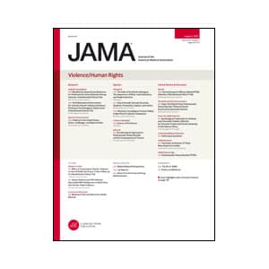 Violence/Human Rights Theme Issue